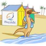 Bayside i ferret