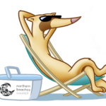 Nortern Beaches Council iFerret Final