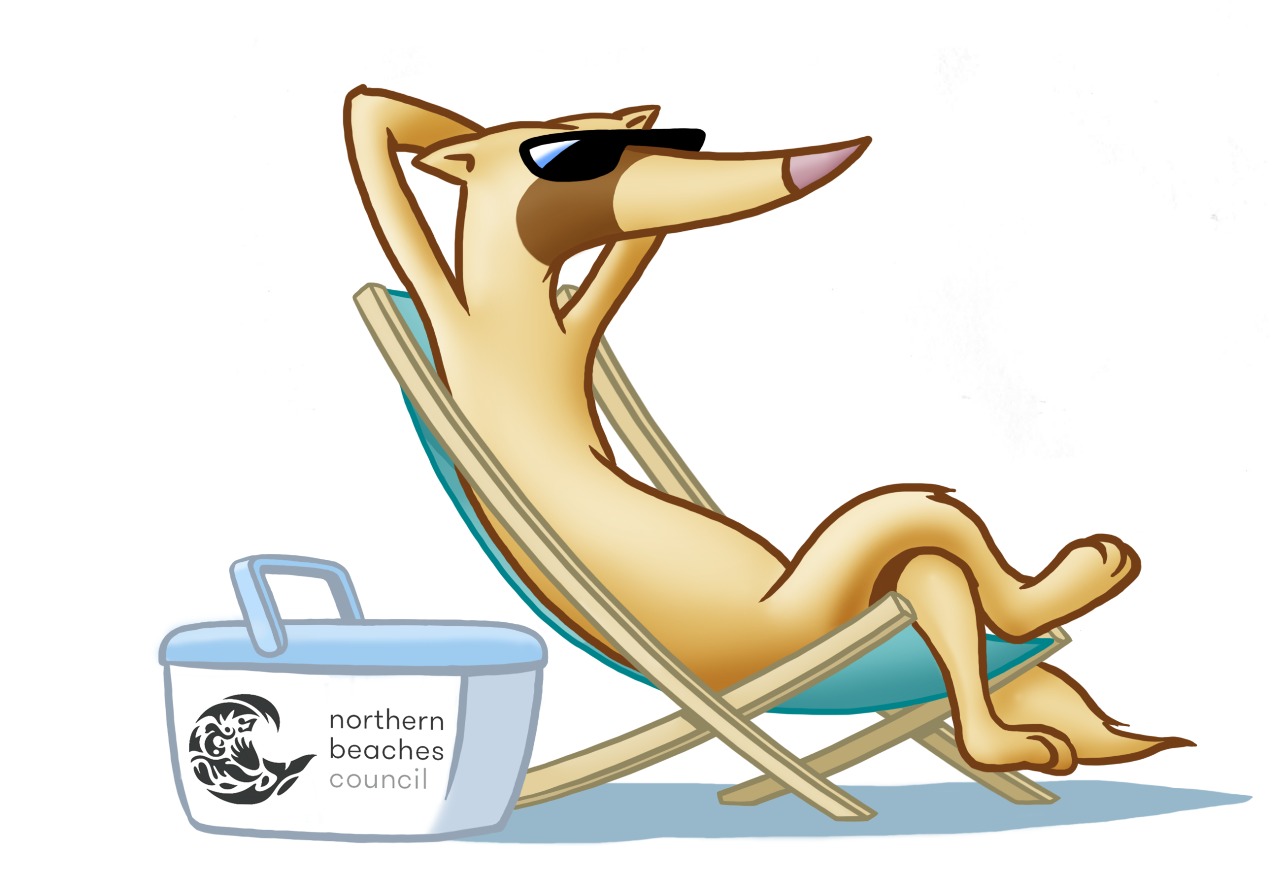 Nortern Beaches Council iFerret Final